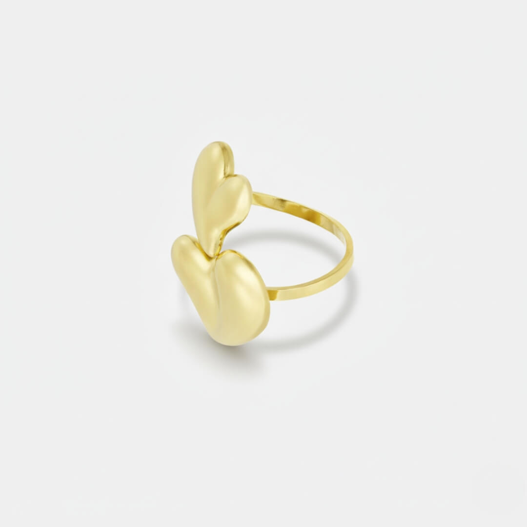 Anillo Conexión Leal