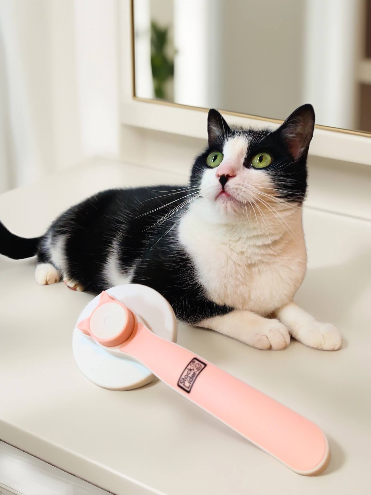 Cepillo gato autolimpiable - Rosa