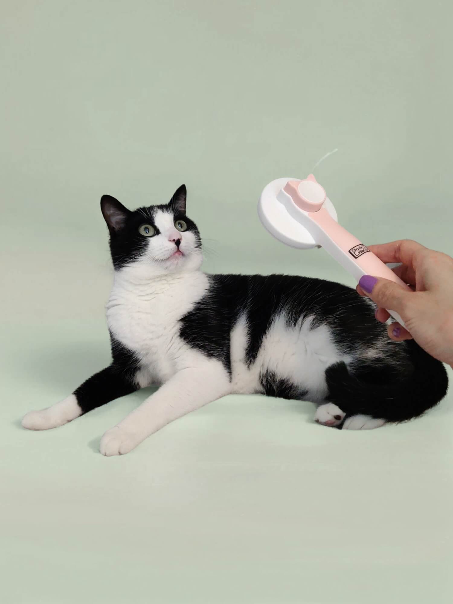 Cepillo gato autolimpiable - Rosa