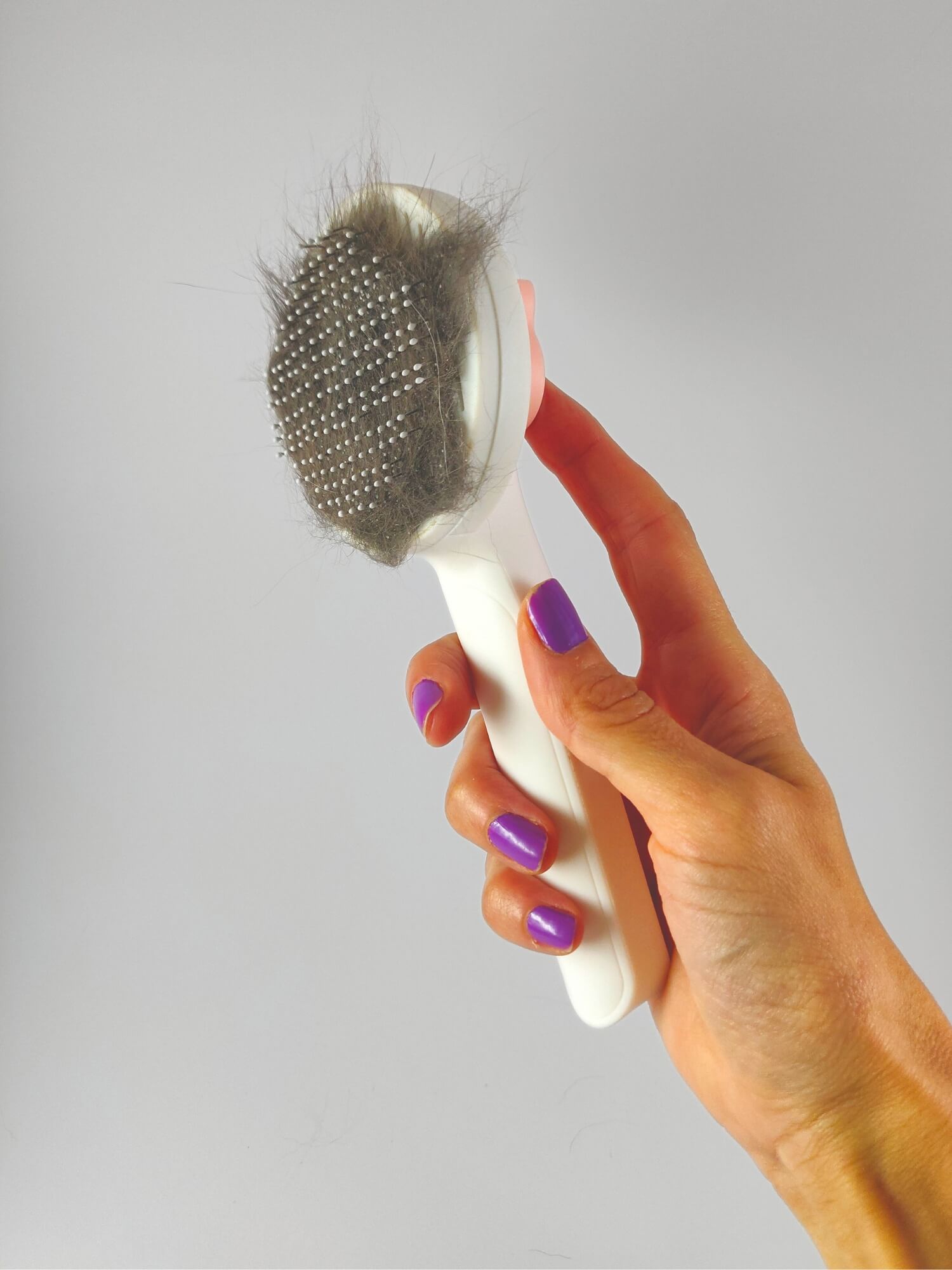 Cepillo gato autolimpiable - Rosa