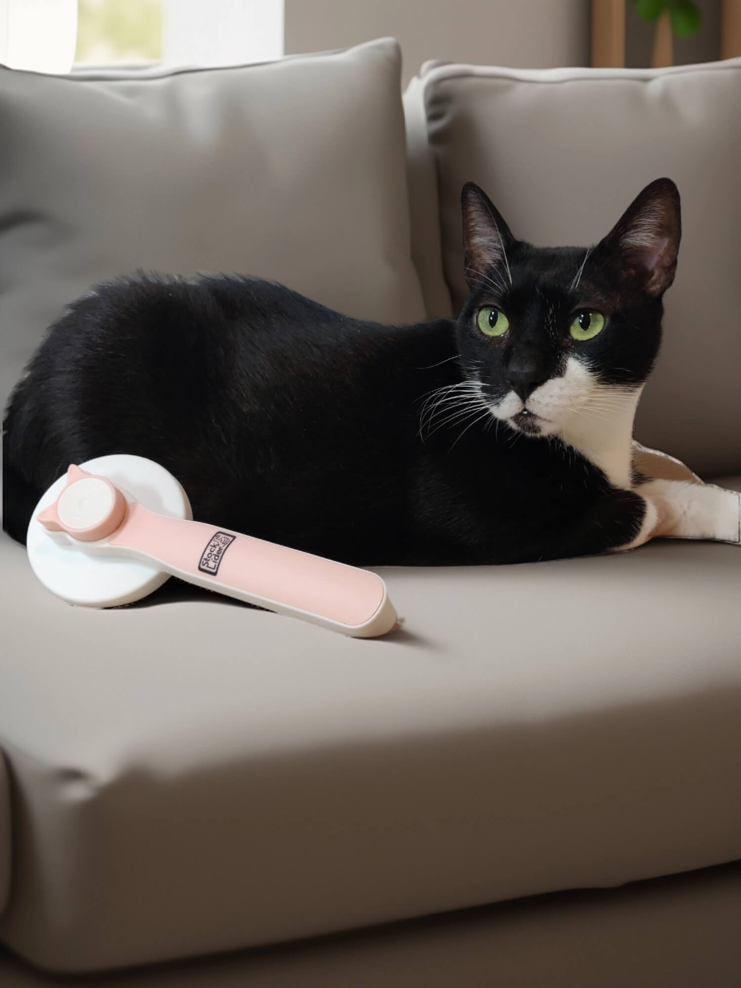 Cepillo gato autolimpiable - Rosa