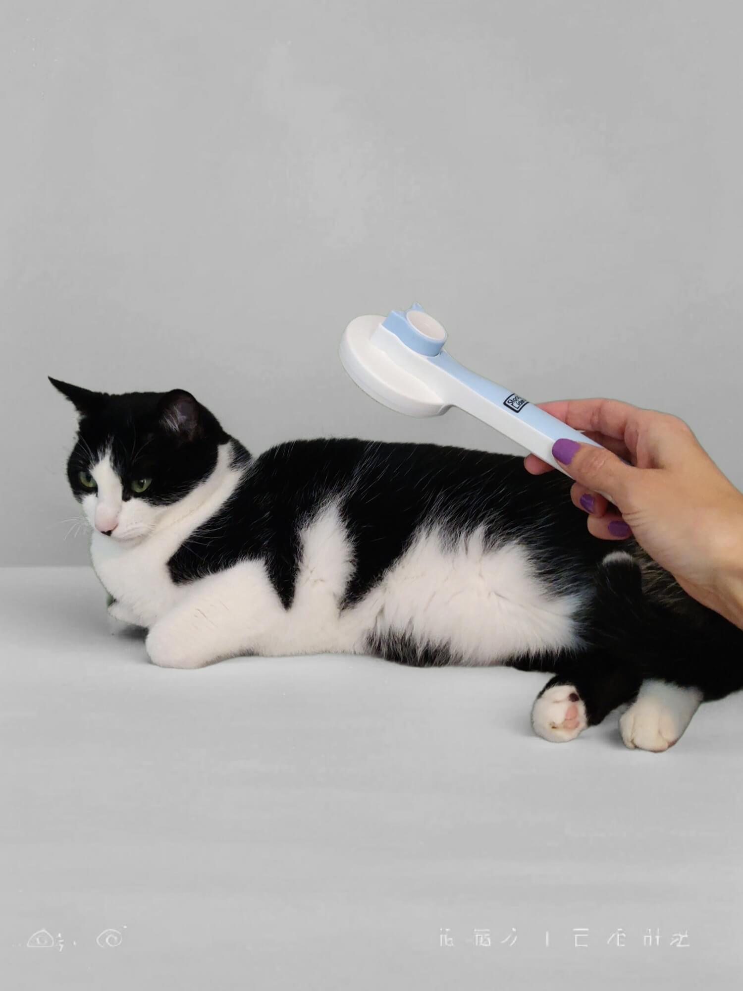 Cepillo gato autolimpiable - Azul