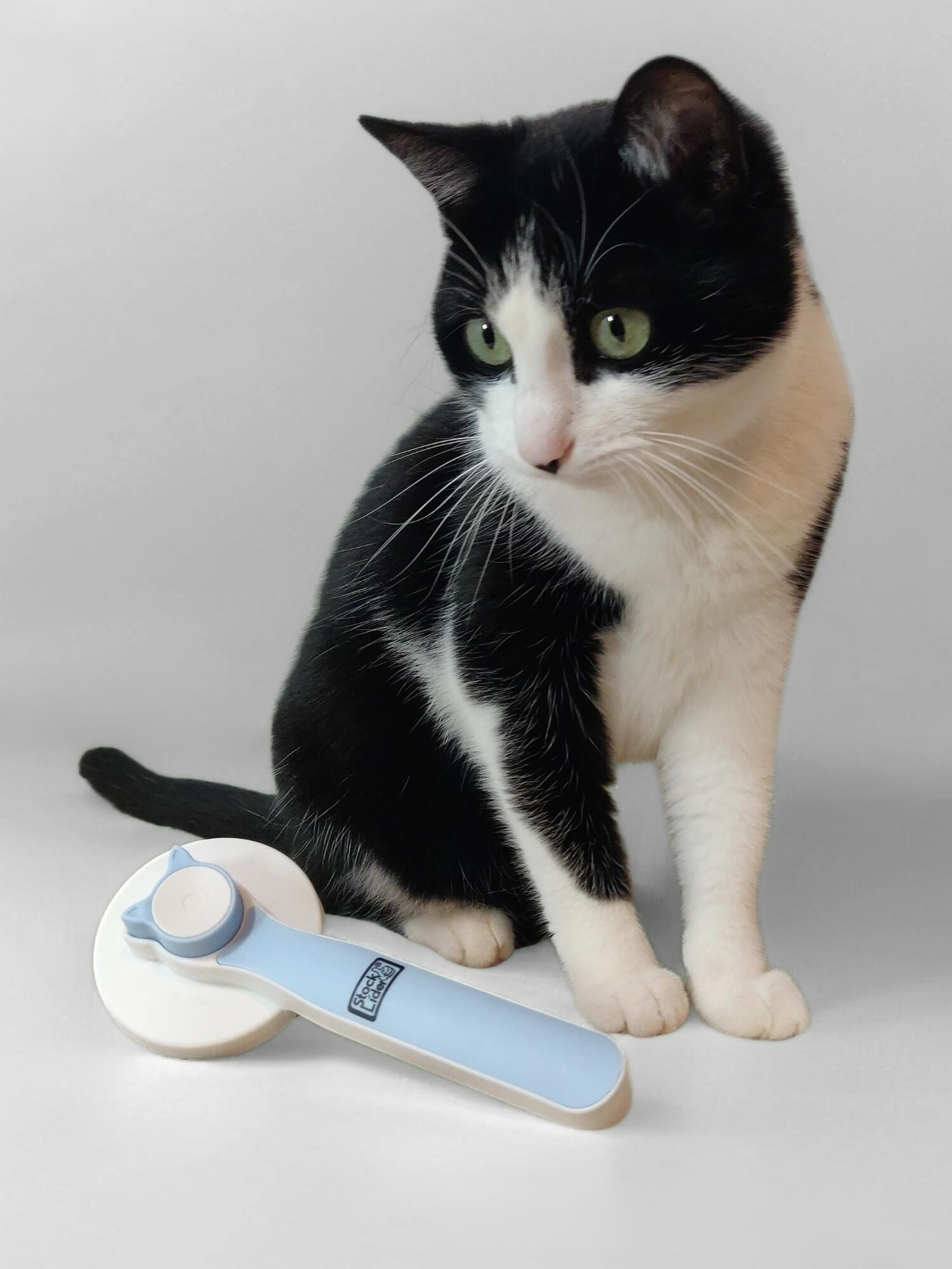 Cepillo gato autolimpiable - Azul