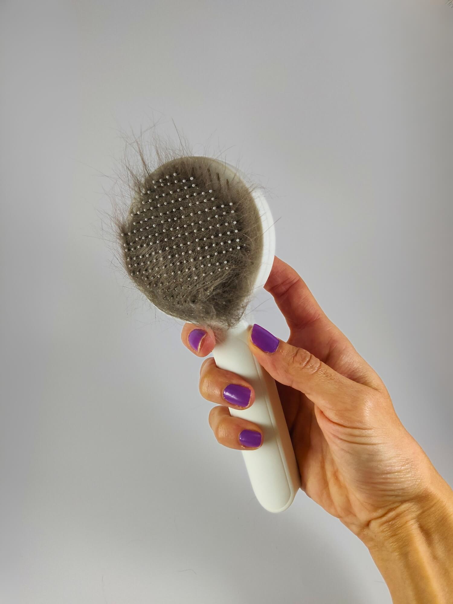 Cepillo gato autolimpiable - Azul