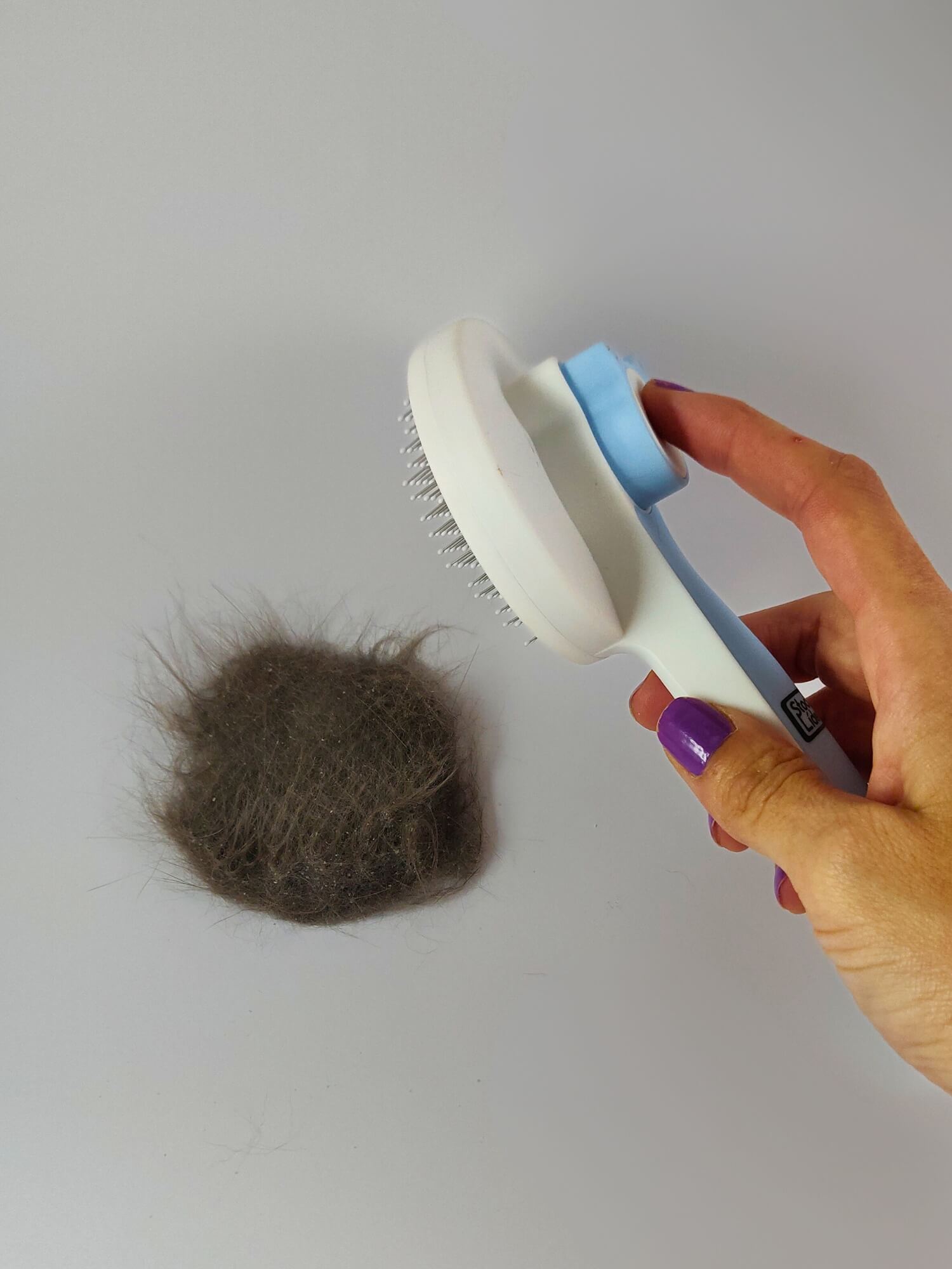 Cepillo gato autolimpiable - Azul