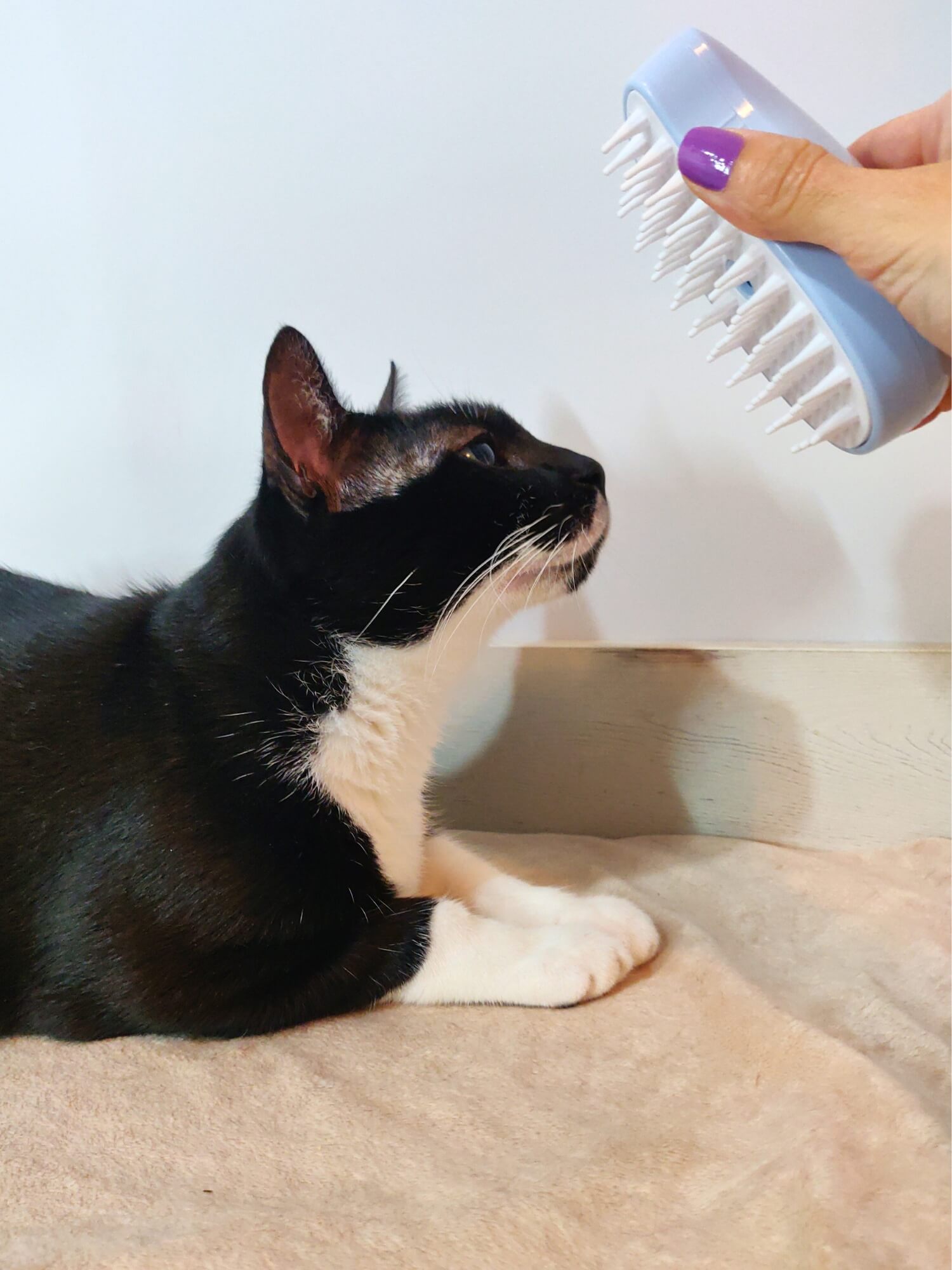 Cepillo de vapor - Azul