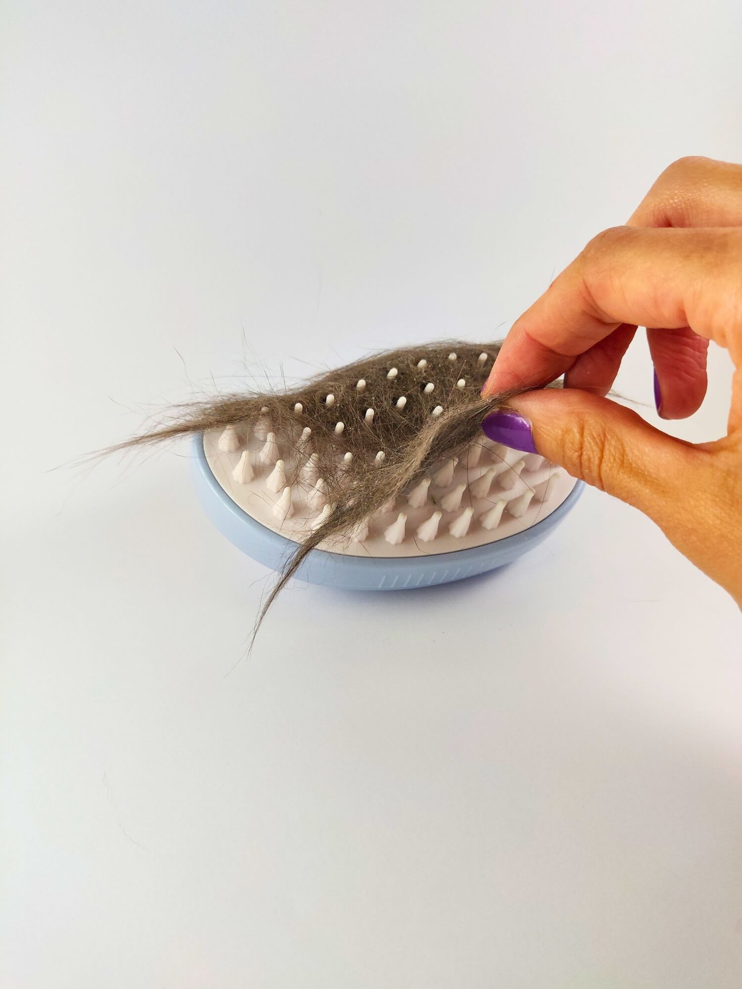 Cepillo de vapor - Azul