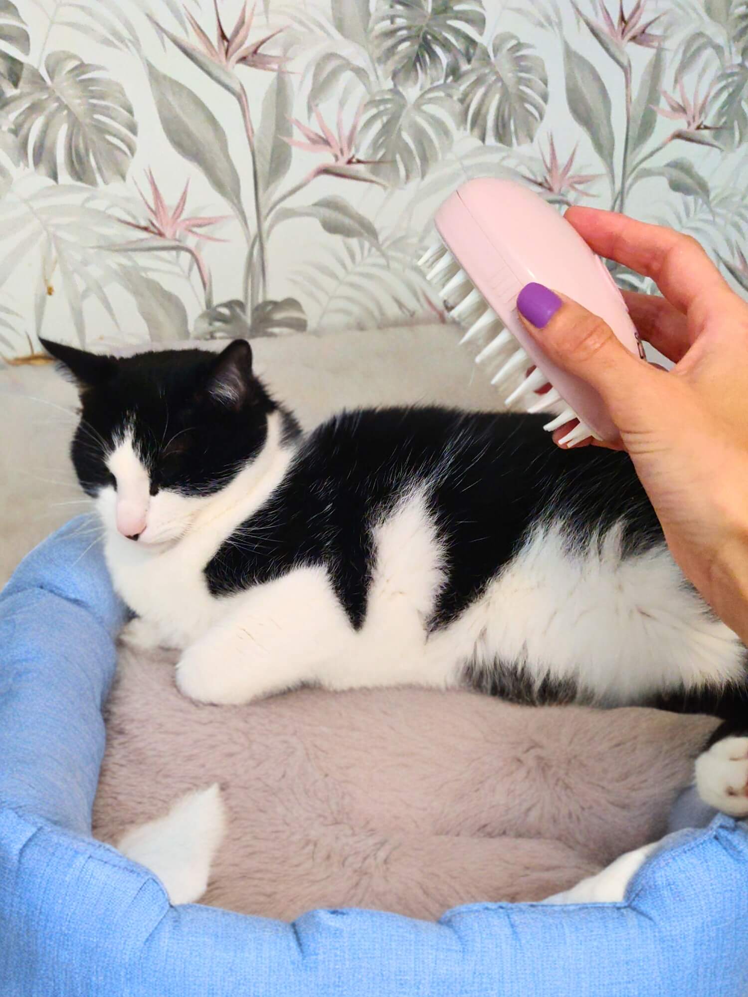 Cepillo de vapor - Rosa