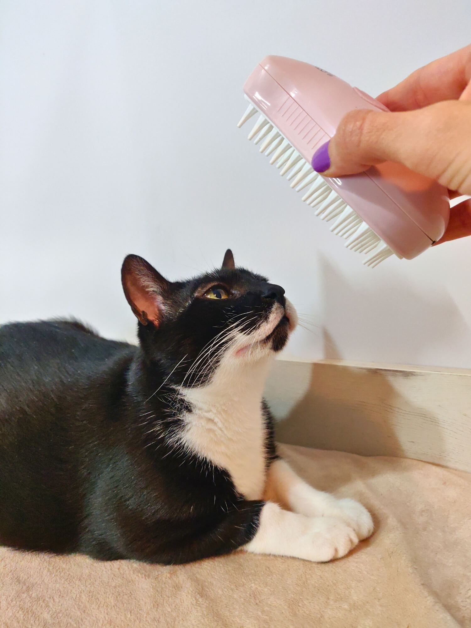 Cepillo de vapor - Rosa