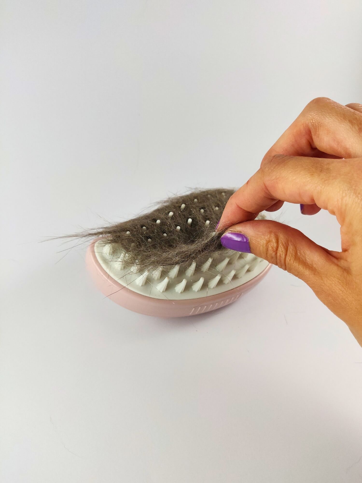 Cepillo de vapor - Rosa